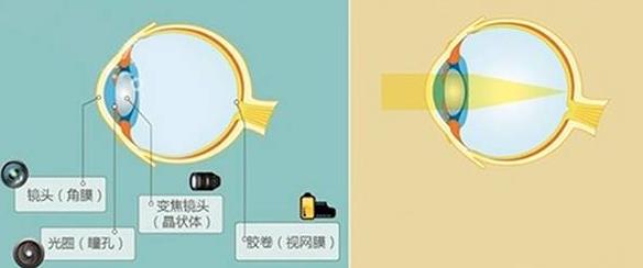 怎么佩戴老花鏡？驗(yàn)光 品牌 質(zhì)量 保養(yǎng)一個(gè)都不能少