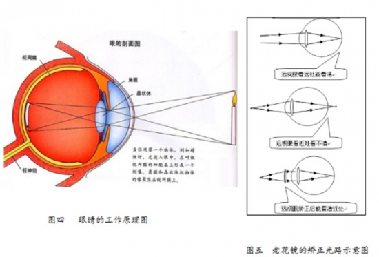 美麗島眼鏡：老花鏡不可隨意亂帶，需要在專業(yè)驗(yàn)光后科學(xué)配制